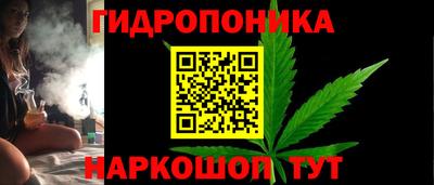 гидра Краснокаменск