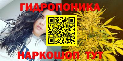 гидра Краснокаменск
