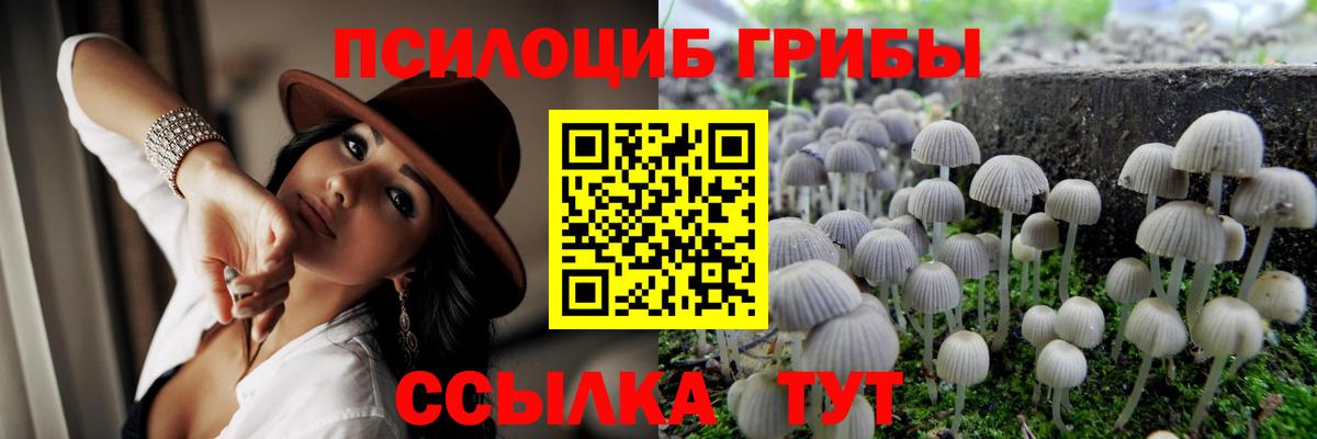 где можно купить наркотик  Галлюциногенные грибы ЛСД  Вход с VPN  Гусиноозёрск 